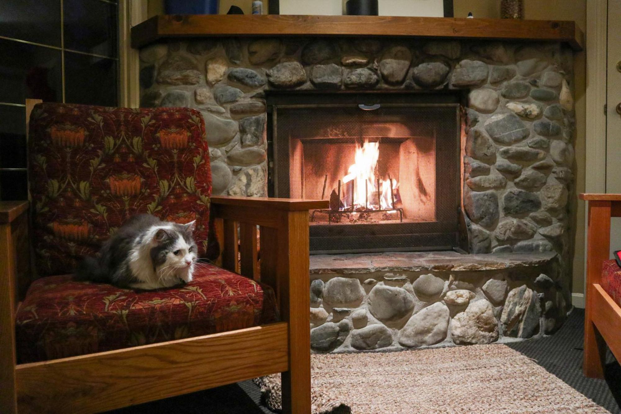 Emerald Lake Lodge Field Εξωτερικό φωτογραφία