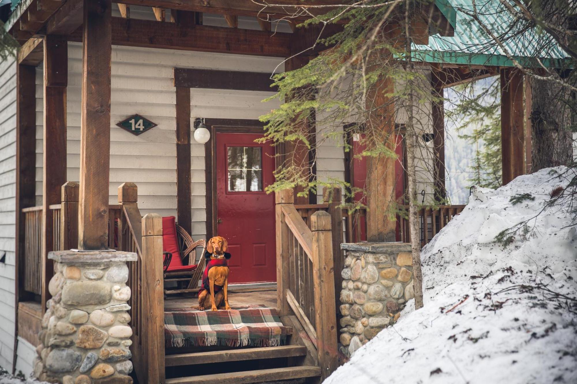Emerald Lake Lodge Field Εξωτερικό φωτογραφία