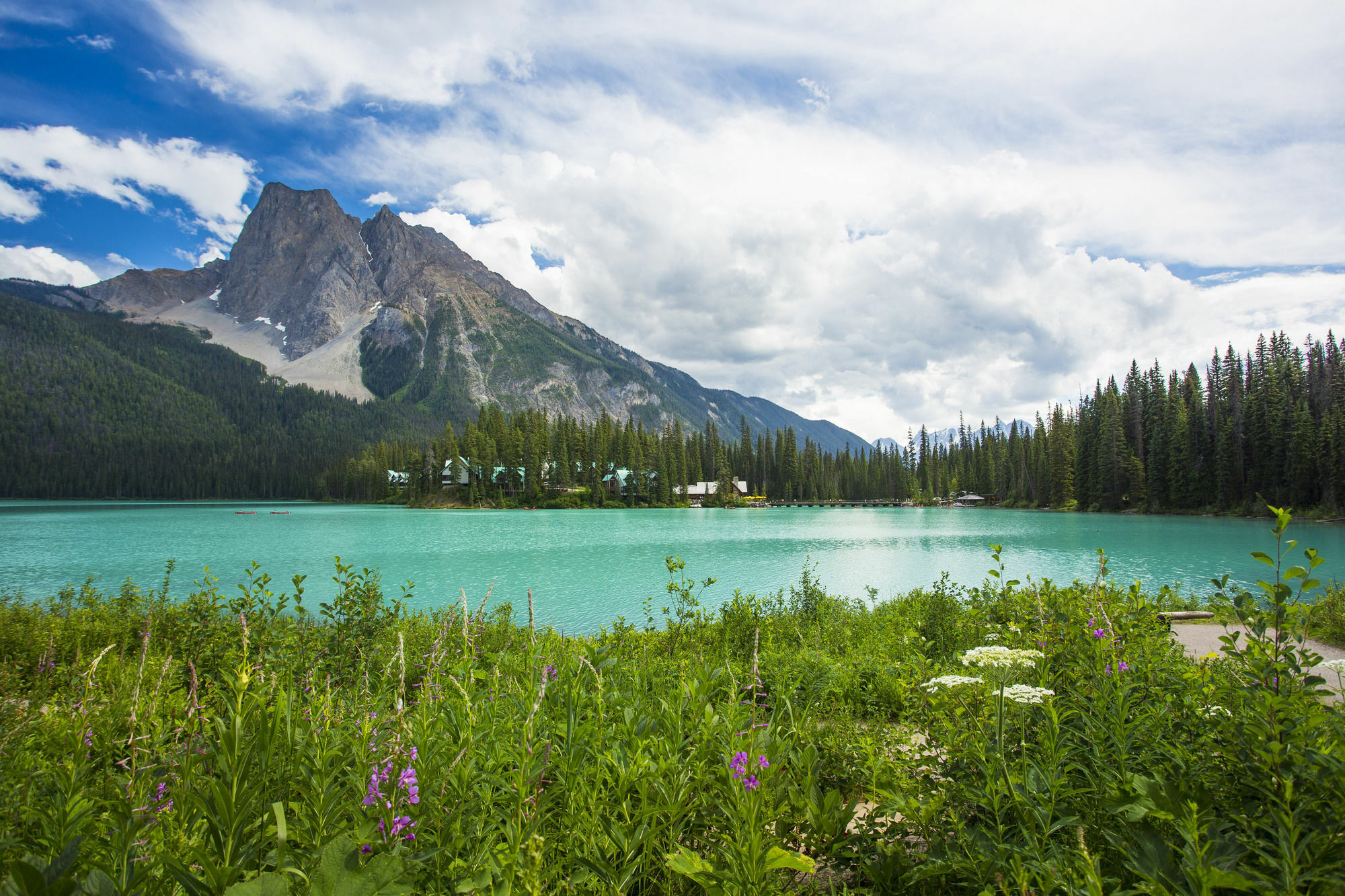 Emerald Lake Lodge Field Εξωτερικό φωτογραφία